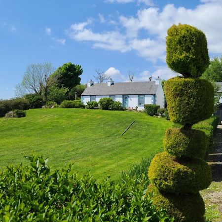 New Listing - Ladybird Cottage - Donegal - Wild Atlantic Way Donegal Town Dış mekan fotoğraf
