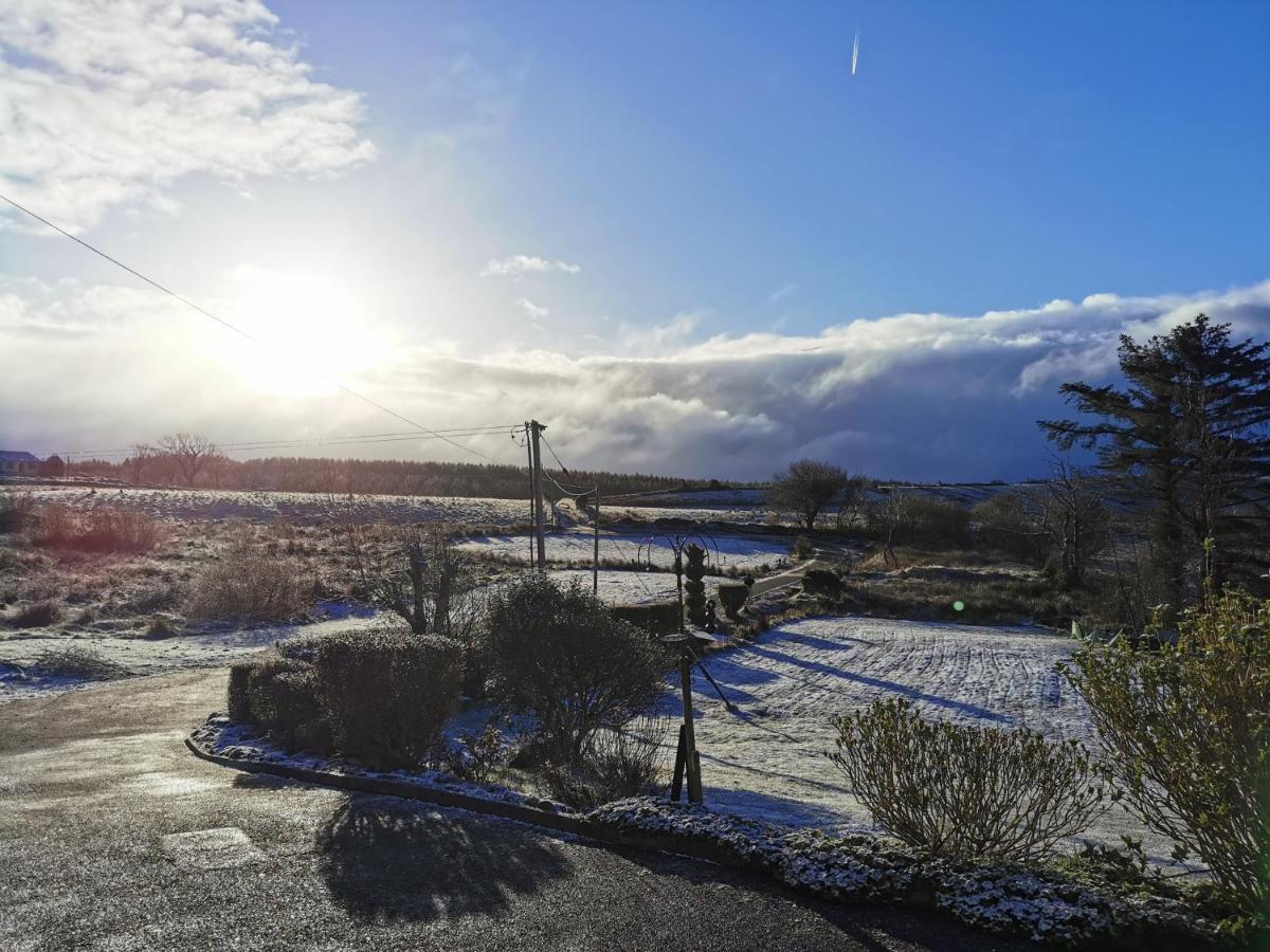 New Listing - Ladybird Cottage - Donegal - Wild Atlantic Way Donegal Town Dış mekan fotoğraf