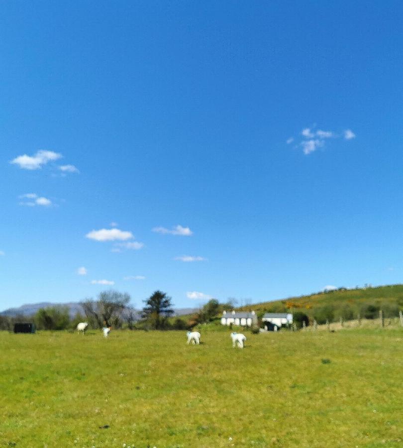 New Listing - Ladybird Cottage - Donegal - Wild Atlantic Way Donegal Town Dış mekan fotoğraf