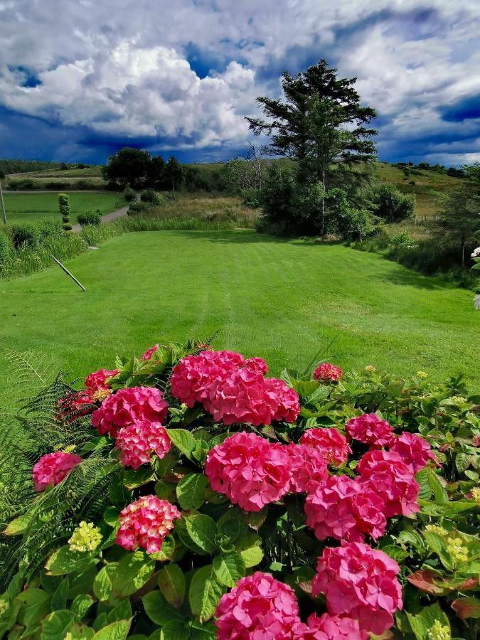 New Listing - Ladybird Cottage - Donegal - Wild Atlantic Way Donegal Town Dış mekan fotoğraf