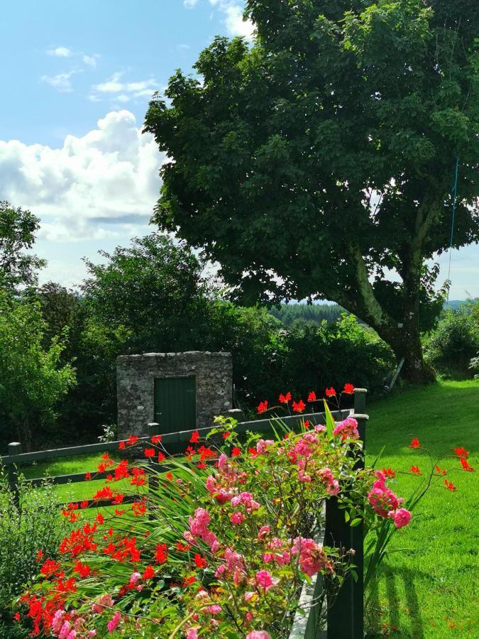 New Listing - Ladybird Cottage - Donegal - Wild Atlantic Way Donegal Town Dış mekan fotoğraf