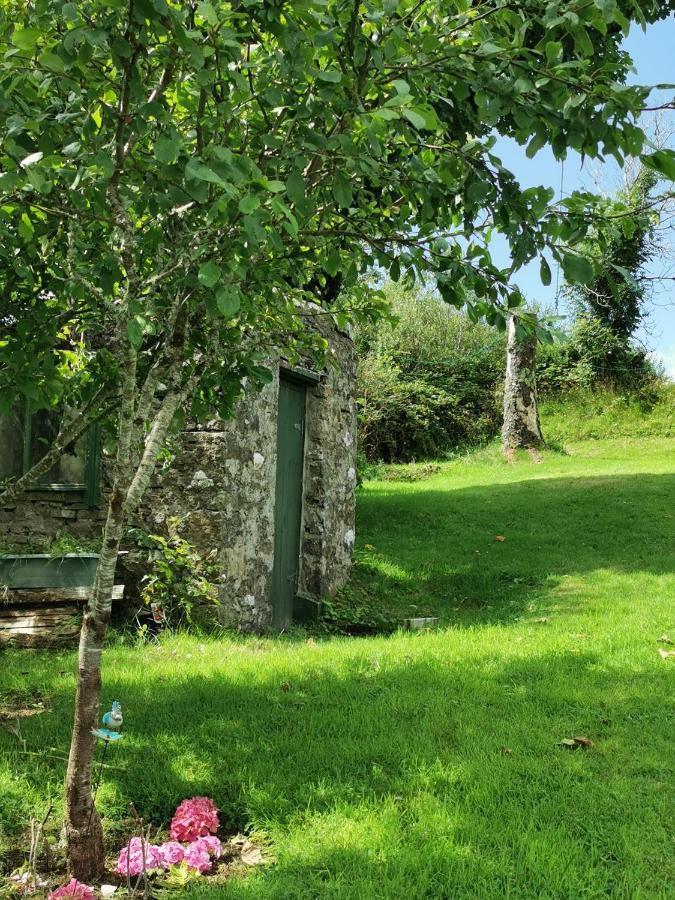 New Listing - Ladybird Cottage - Donegal - Wild Atlantic Way Donegal Town Dış mekan fotoğraf