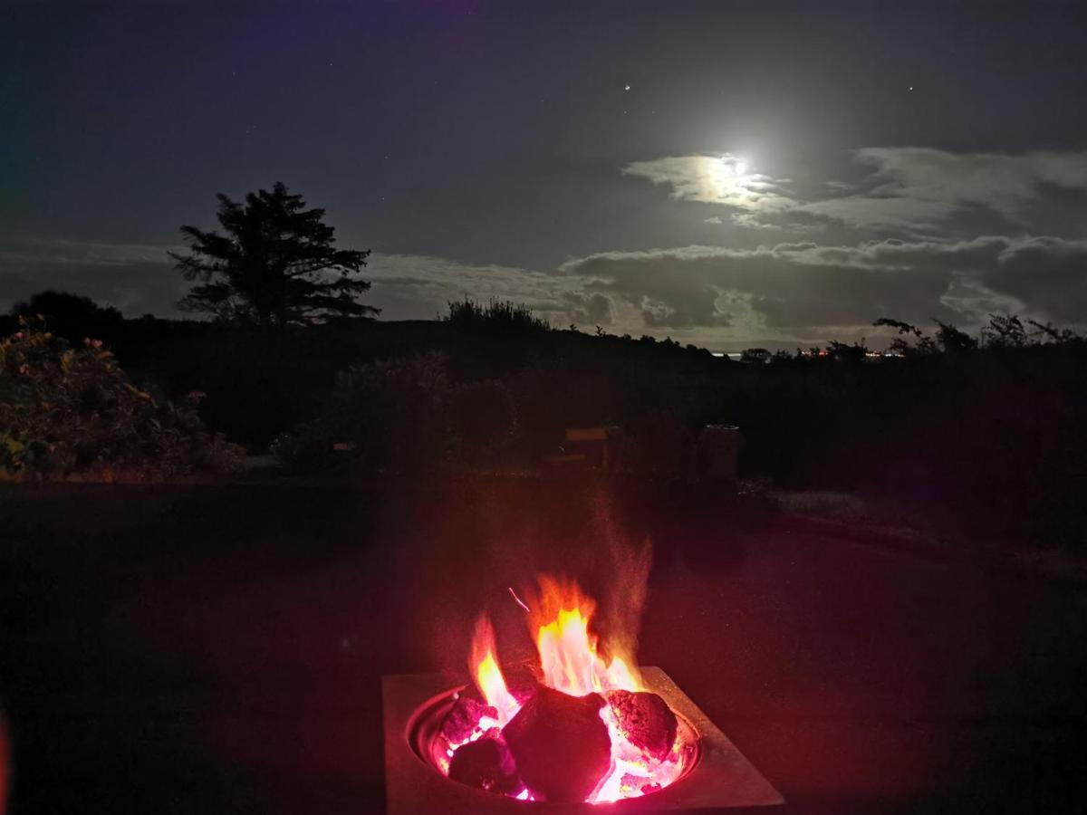New Listing - Ladybird Cottage - Donegal - Wild Atlantic Way Donegal Town Dış mekan fotoğraf