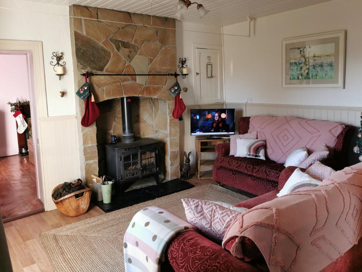 New Listing - Ladybird Cottage - Donegal - Wild Atlantic Way Donegal Town Dış mekan fotoğraf