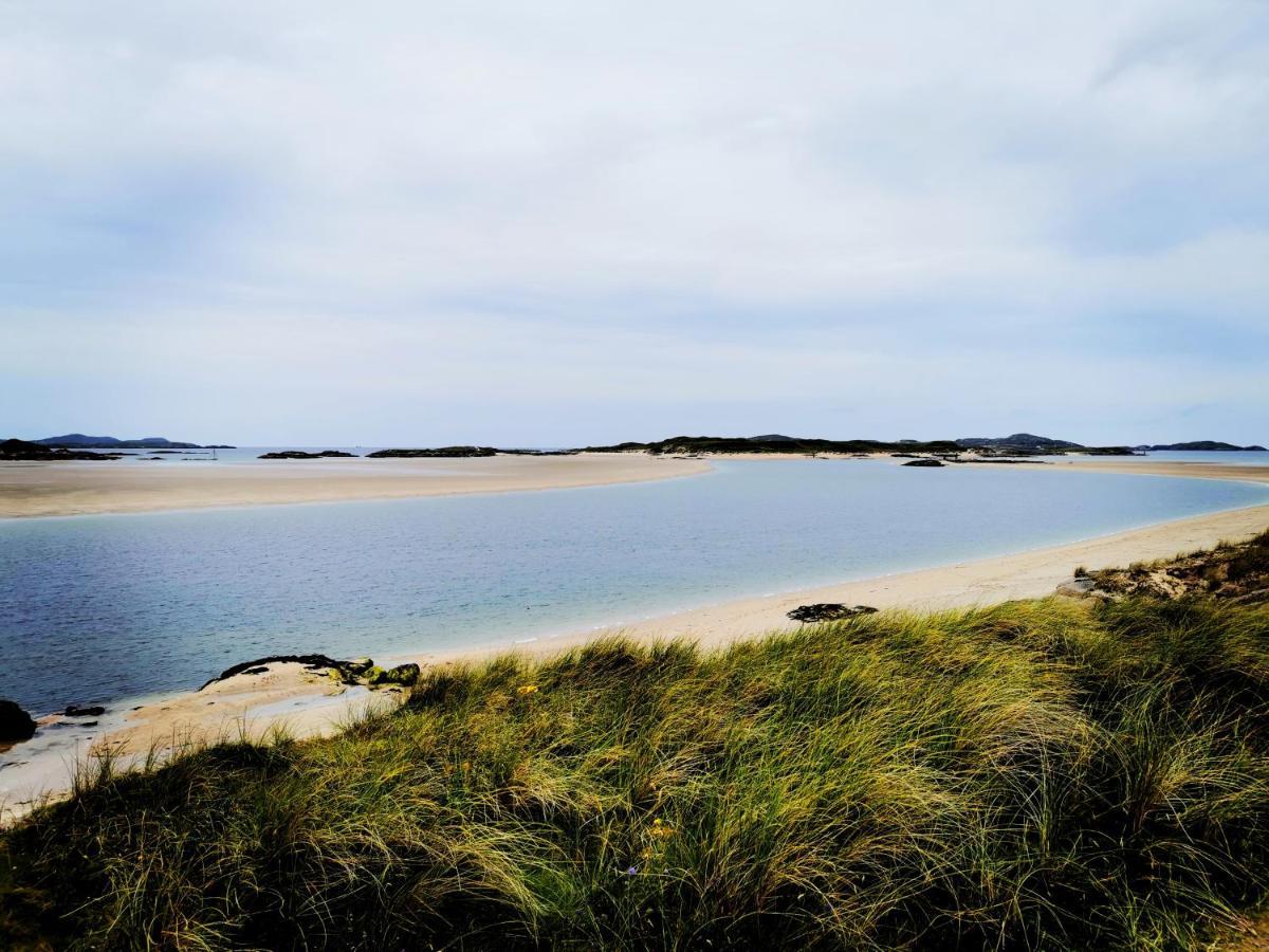 New Listing - Ladybird Cottage - Donegal - Wild Atlantic Way Donegal Town Dış mekan fotoğraf