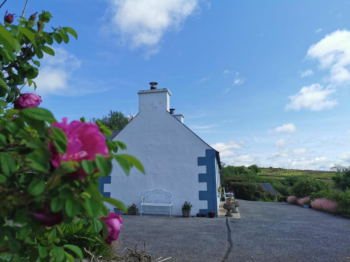 New Listing - Ladybird Cottage - Donegal - Wild Atlantic Way Donegal Town Dış mekan fotoğraf