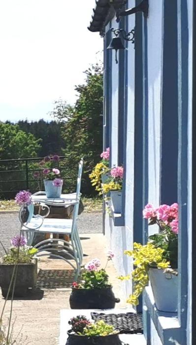 New Listing - Ladybird Cottage - Donegal - Wild Atlantic Way Donegal Town Dış mekan fotoğraf