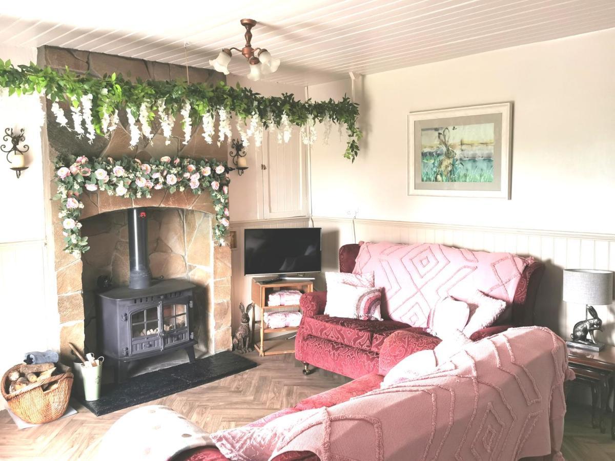 New Listing - Ladybird Cottage - Donegal - Wild Atlantic Way Donegal Town Dış mekan fotoğraf