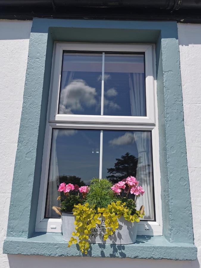 New Listing - Ladybird Cottage - Donegal - Wild Atlantic Way Donegal Town Dış mekan fotoğraf