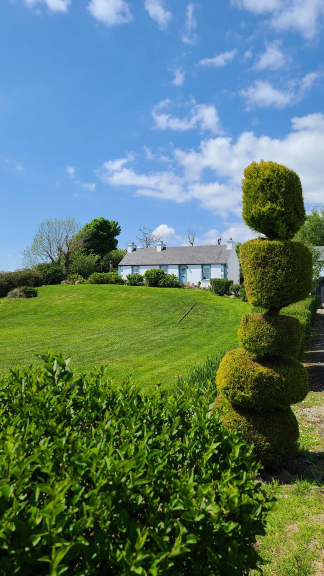 New Listing - Ladybird Cottage - Donegal - Wild Atlantic Way Donegal Town Dış mekan fotoğraf